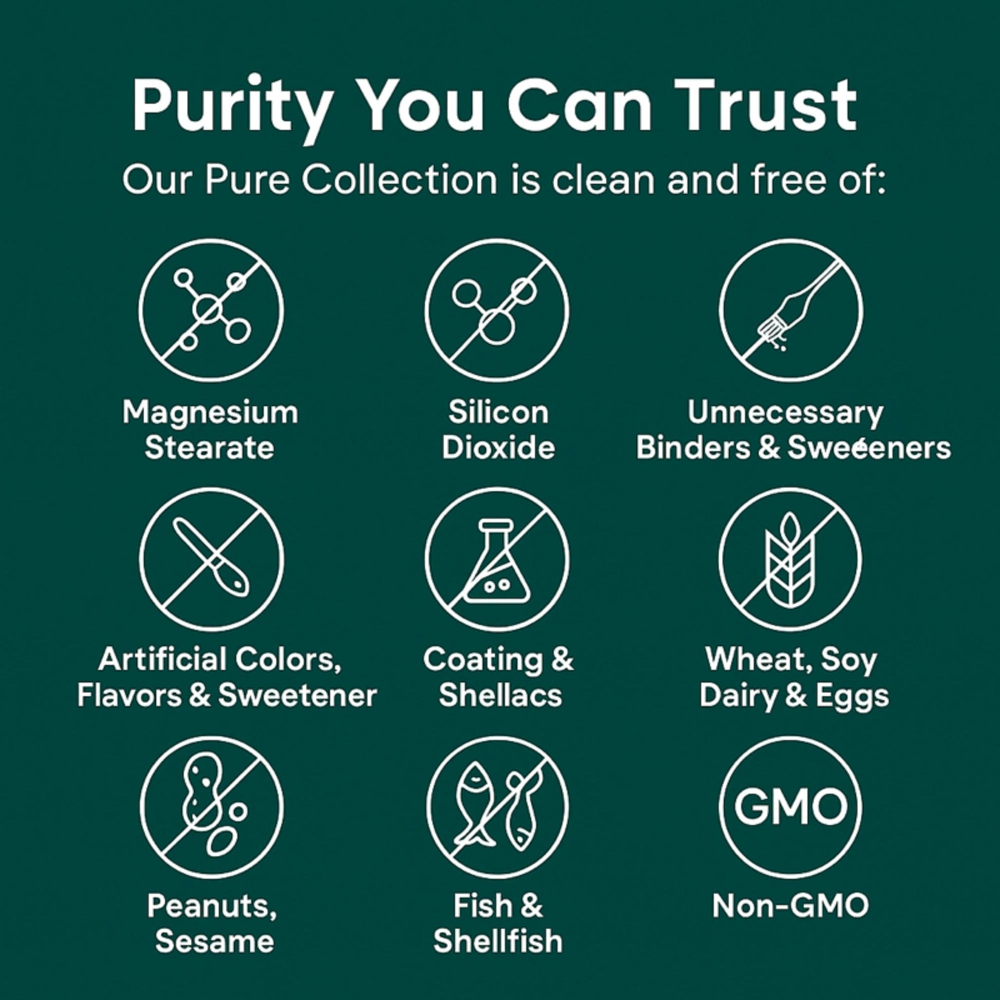 Turmeric Curcumin Capsules (1,000mg)